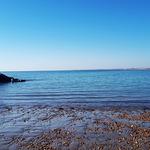 Regency Tea Room Alton